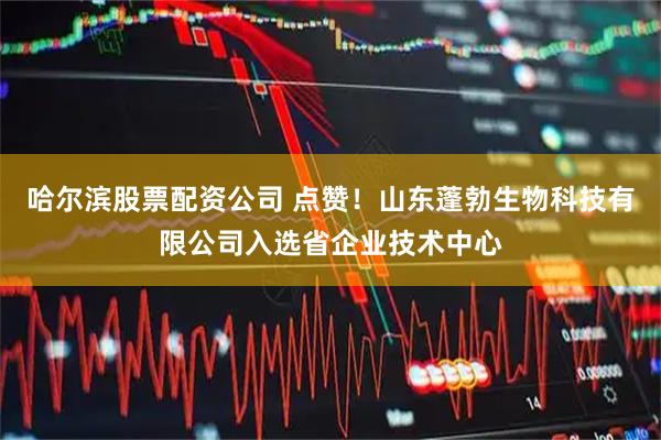 哈尔滨股票配资公司 点赞！山东蓬勃生物科技有限公司入选省企业技术中心